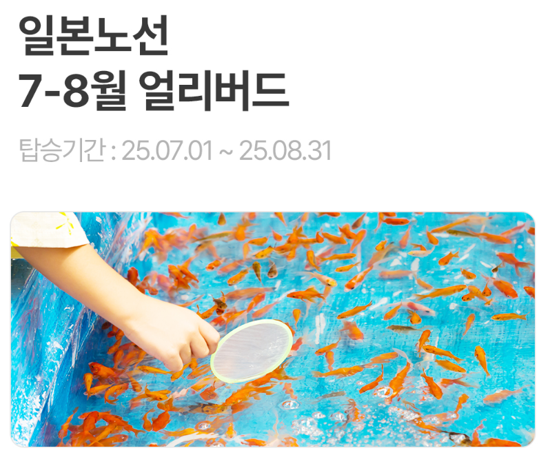일본노선 특가