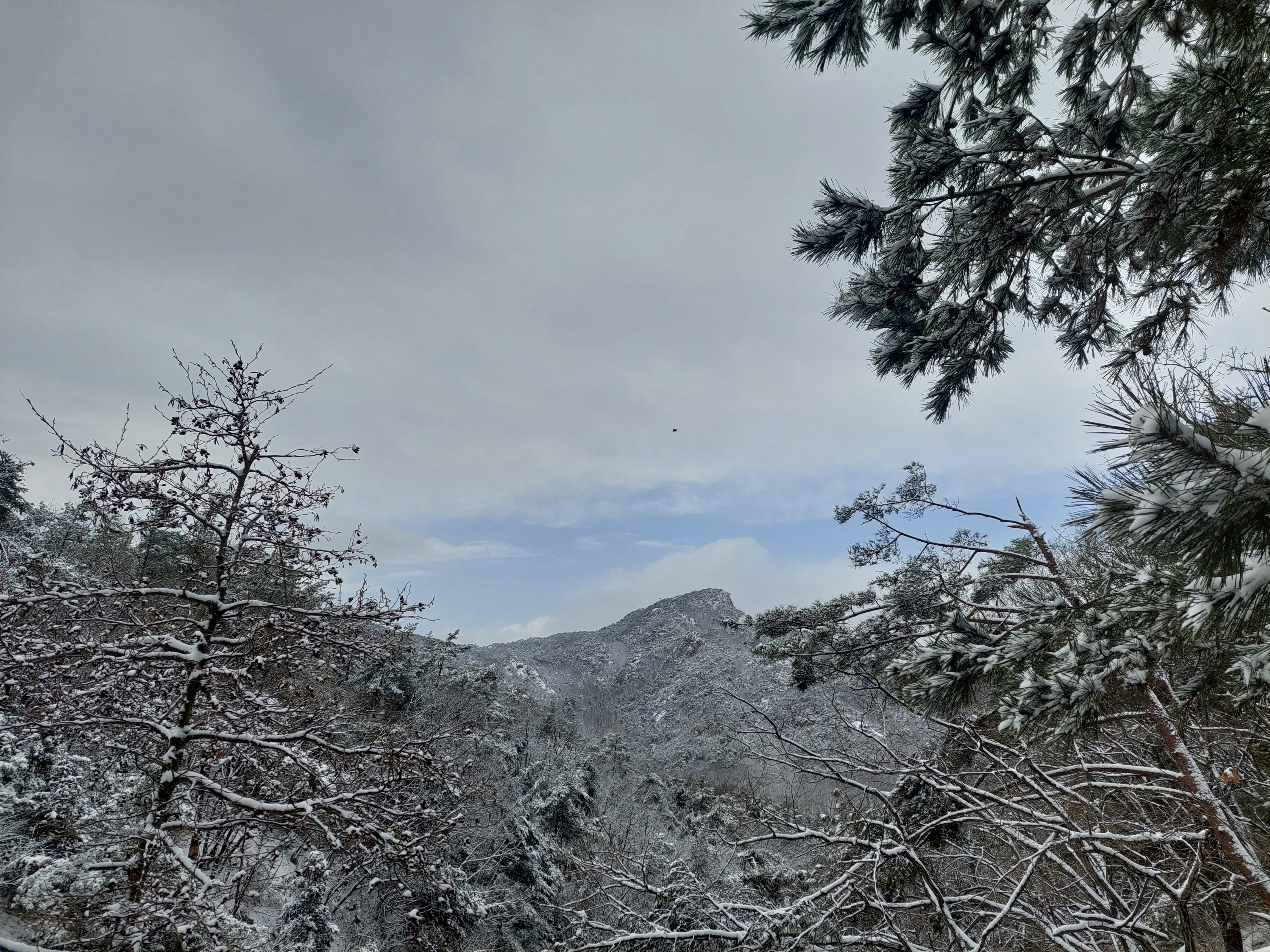 관악산
