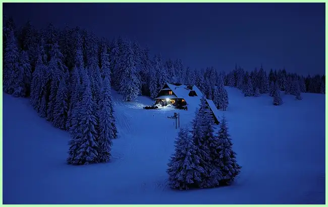 내 주변 주위 대피소 찾기