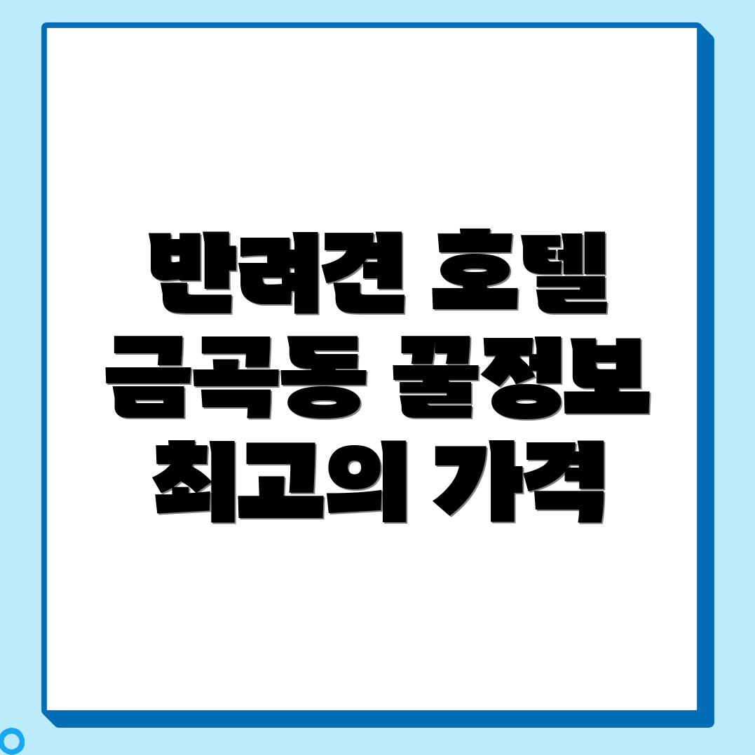 광주 반려견 호텔