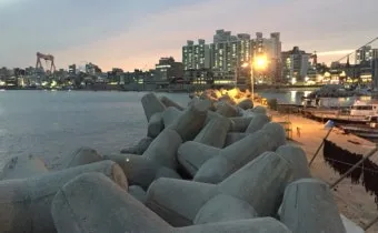 낚시 명당 전라남도 바다 방파제 선상 갈치낚시 정보_8