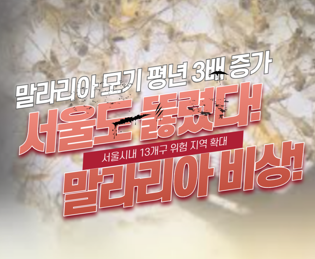 말라리아 증상, 감기와 구별법!