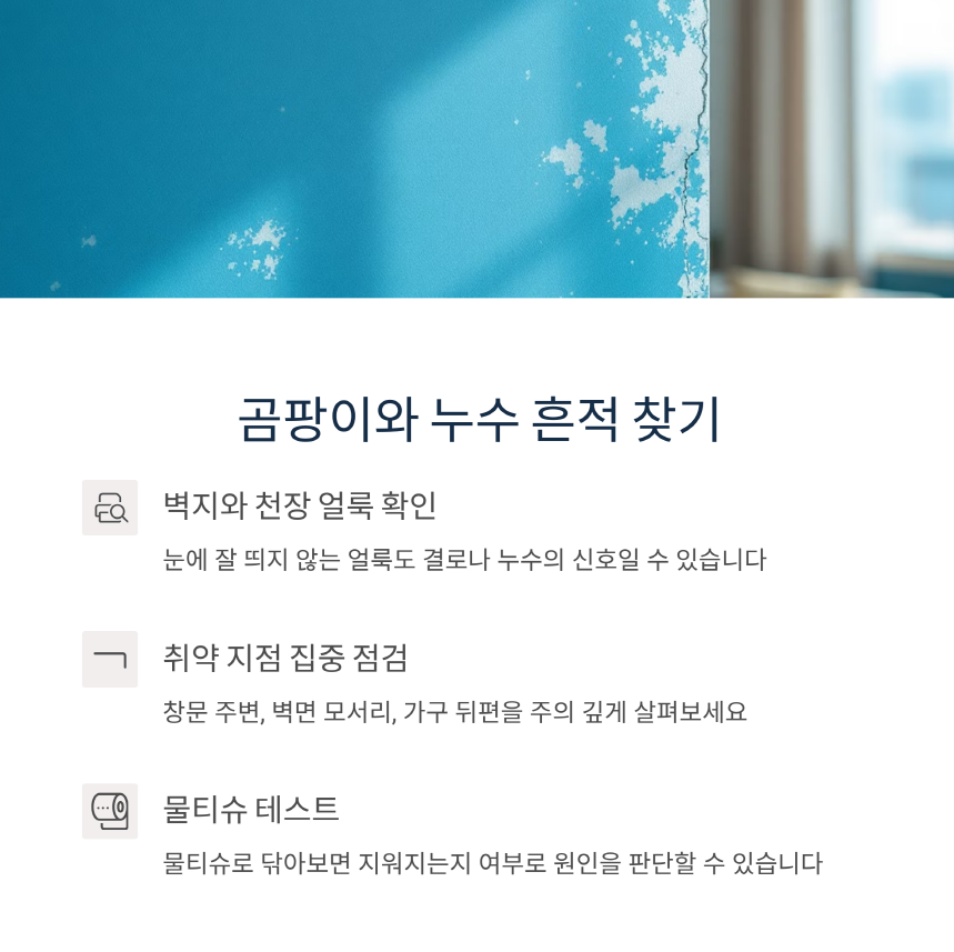 곰팡이와 누수 확인 방법 안내 이미지, 얼룩 점검·취약 지점 확인·물티슈 테스트 포함