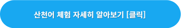 얼음낚시-정보