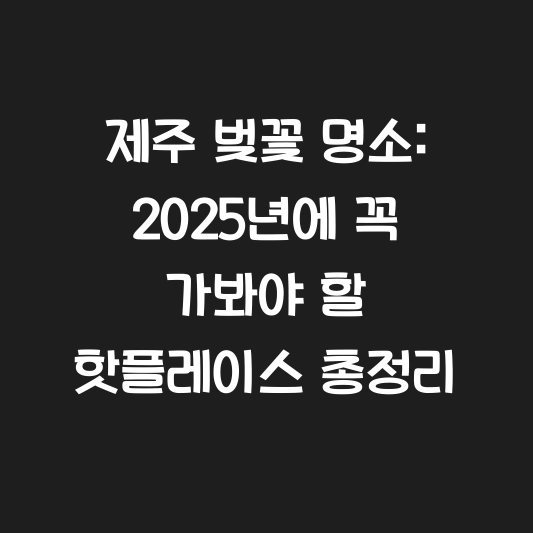 제주 벚꽃 명소: 2025년에 꼭 가봐야 할 핫플레이스 총정리 대표 이미지