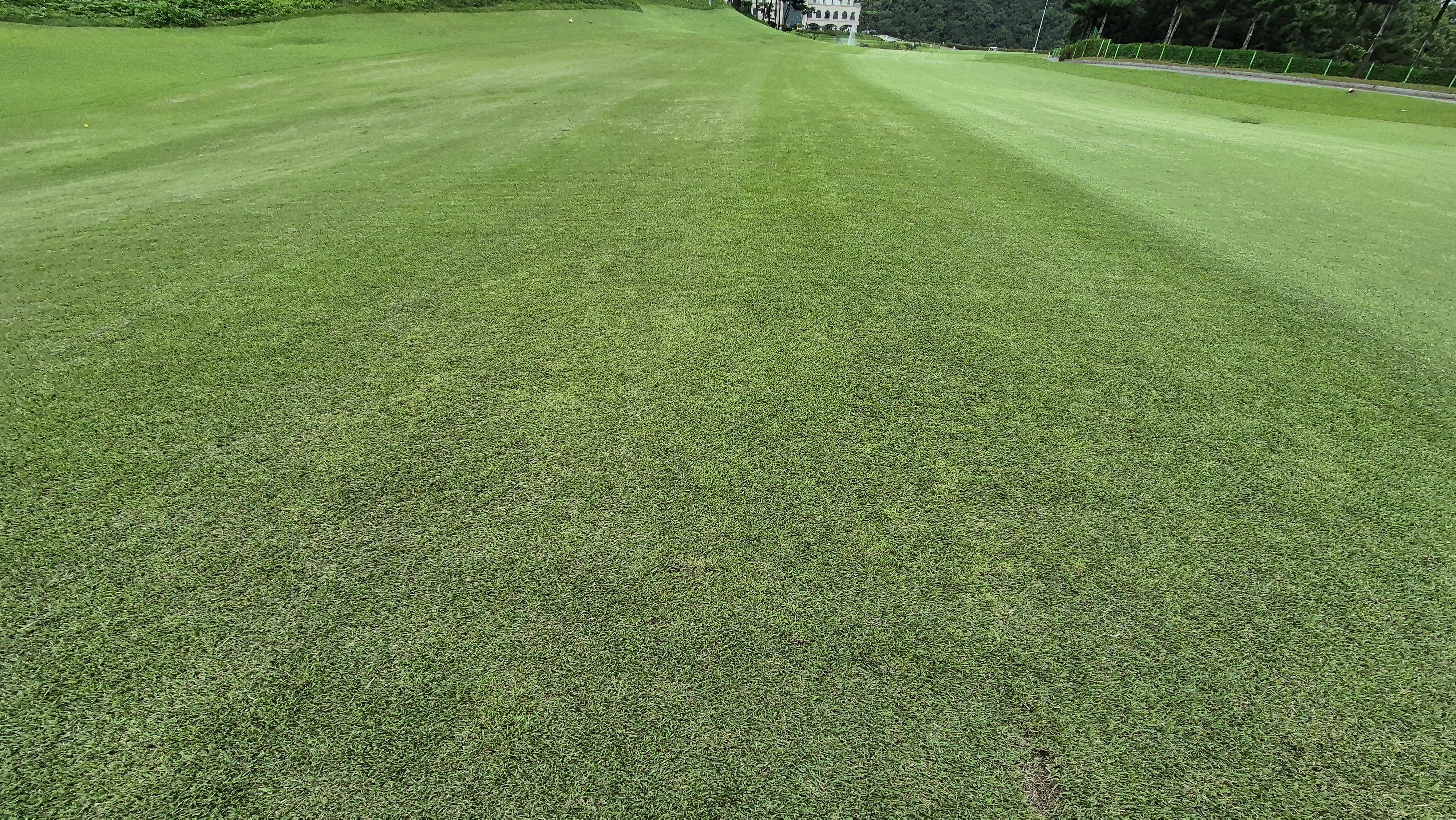 참밸리cc 라운드 후기