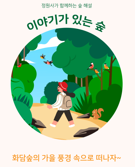 화담숲의 가을 풍경 속으로 떠나자