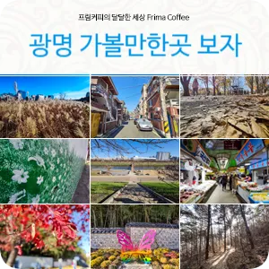 광명 가볼만한곳 카페 맛집 추천 여름 베스트 10_2