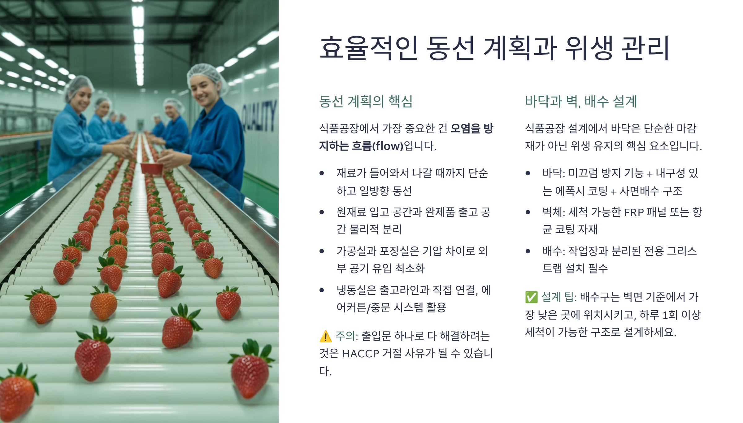 효율적인 동선 계획과 위생관리