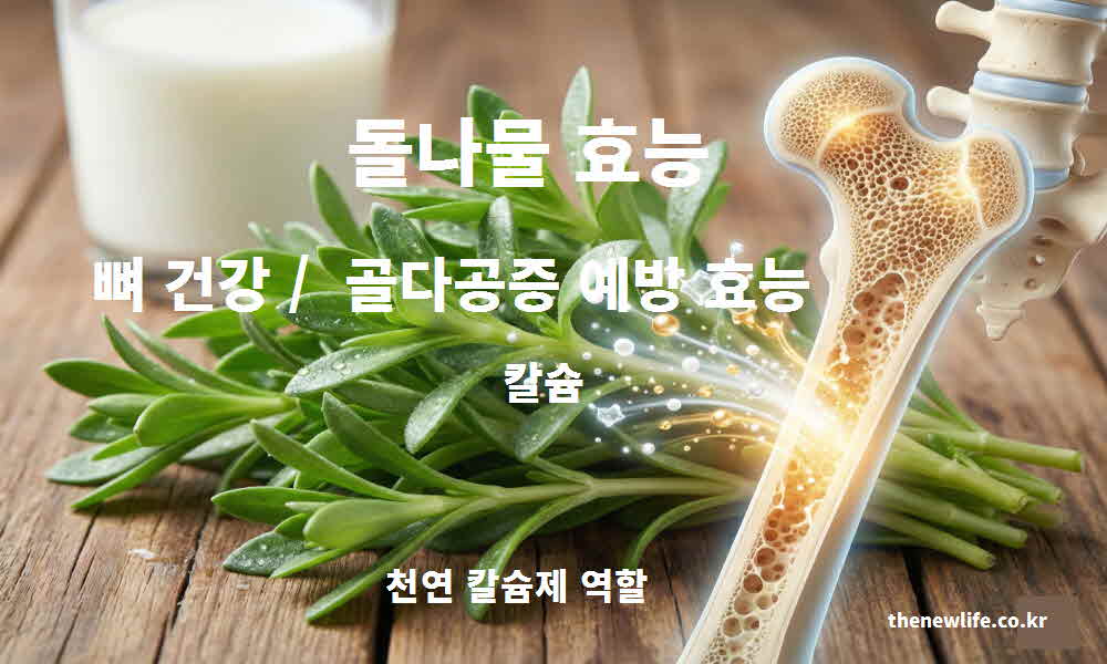 돌나물 효능 뼈 건강 골다공증 예방