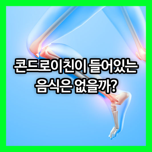 콘드로이친이 들어있는 음식은 없을까? 관절 건강의 핵심, 콘드로이친이 풍부한 음식 총정리!