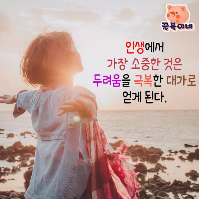 꿀복이