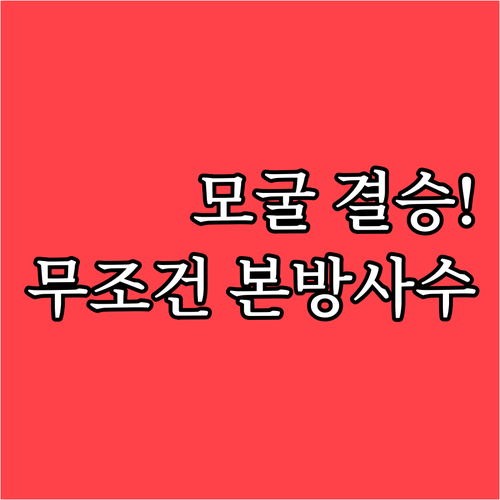 2월 8일과 9일 새벽에 열리는 남녀..