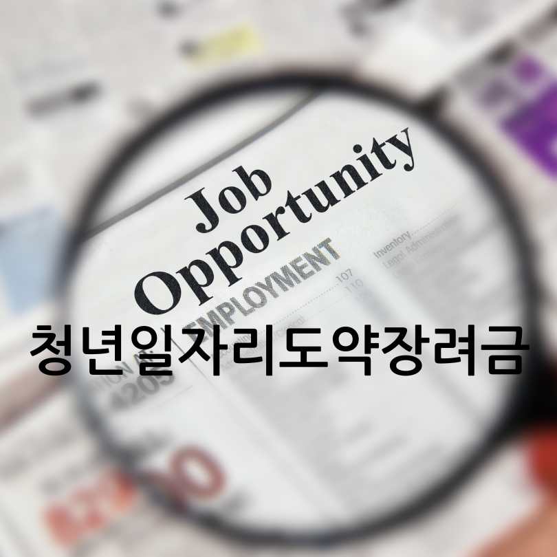 청년일자리도약장려금