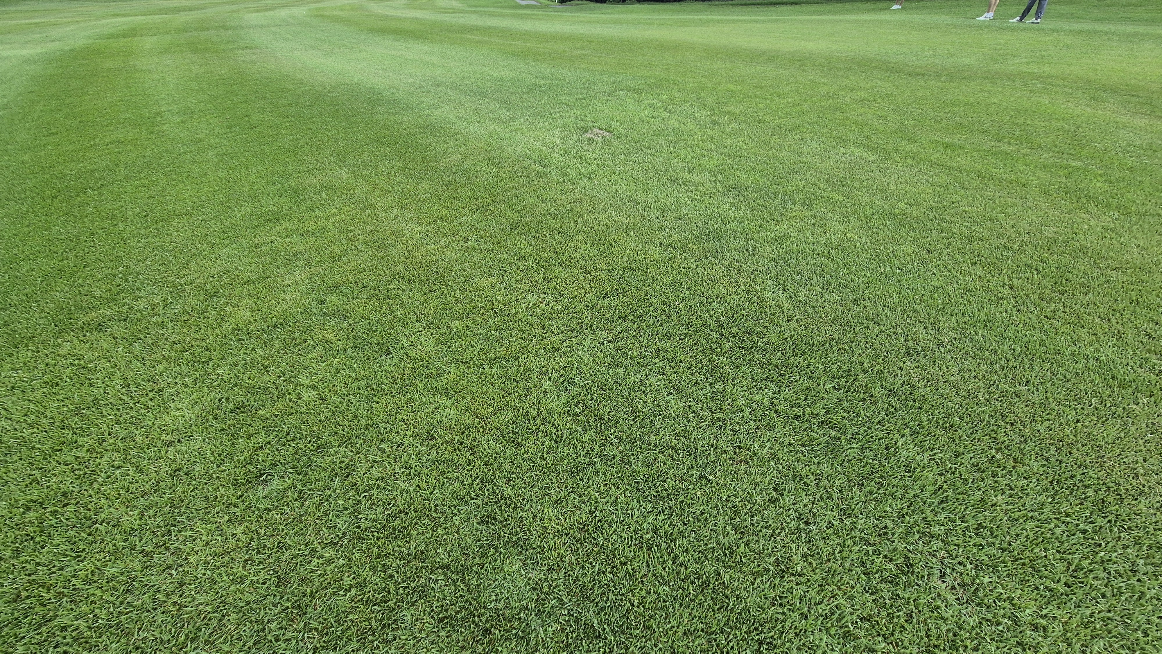 뉴서울cc 예술in-문화in 코스 라운드 후기