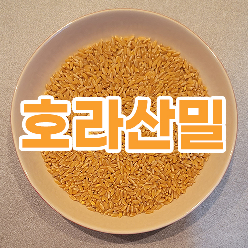 호라산밀
