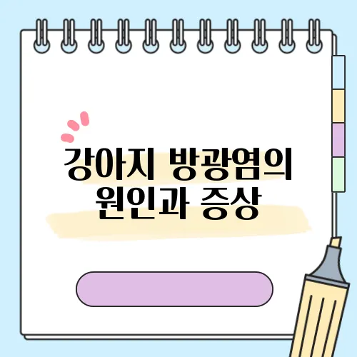 강아지 방광염의 원인과 증상, 효과적인 관리법 알아보세요