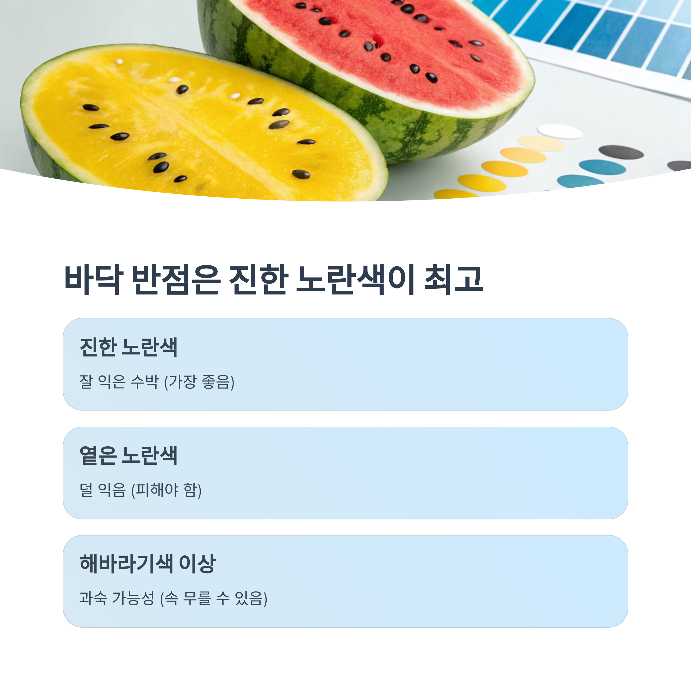 바닥 반점은 진한 노란색이 최고