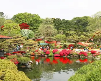 베어트리파크 철쭉축제 봄과 철쭉_8