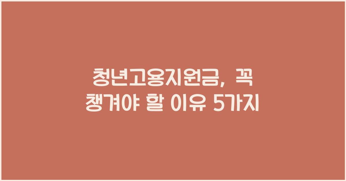 청년고용지원금