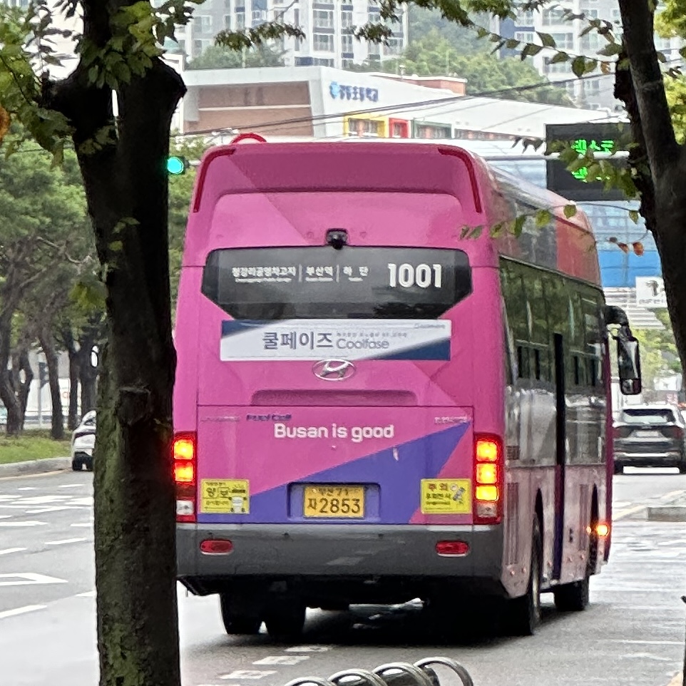 부산1001번버스