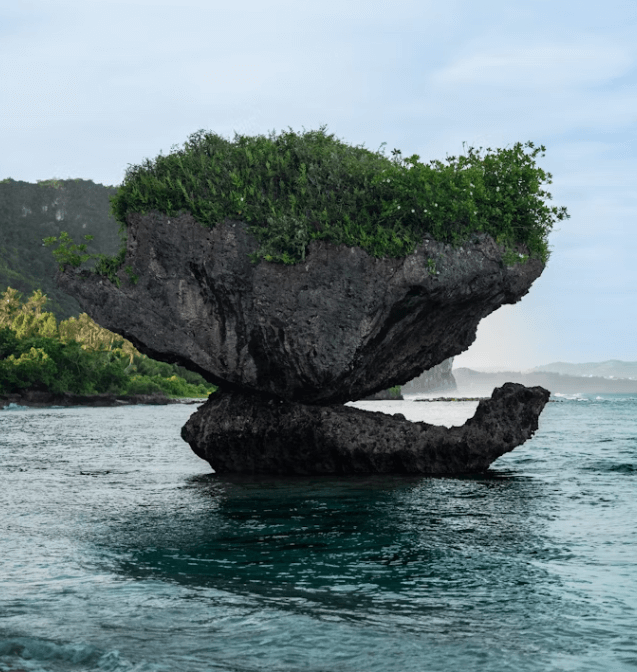 괌 자유여행 가이드&amp;#44; 투몬 야시장은 필수 코스