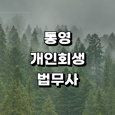 통영시 개인회생 법무사