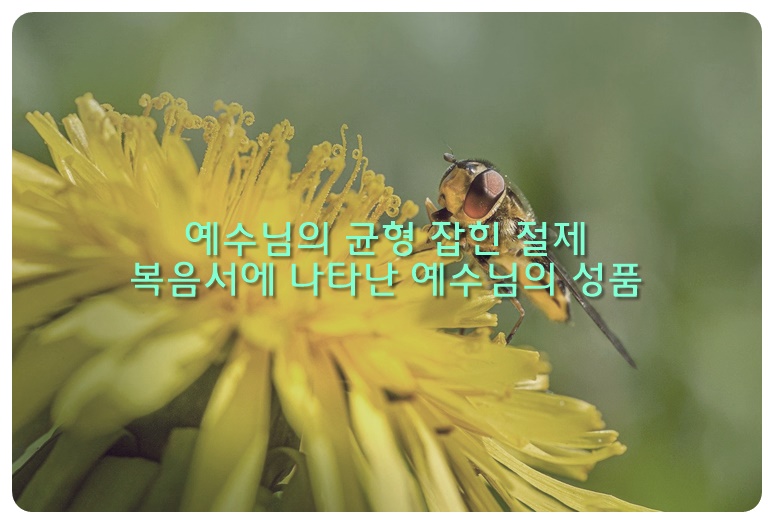 예수님의 균형 잡힌 절제&#44; 복음서에 나타난 예수님의 성품