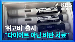 위고비 가격 및 부작용