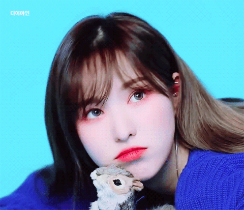 사랑스러운 모습 여자 연예인들 사진모음