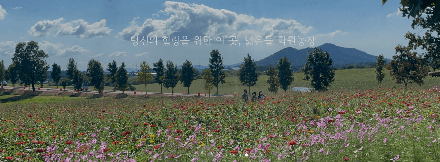 고창 학원 농장 입장료 총정리 관련사진