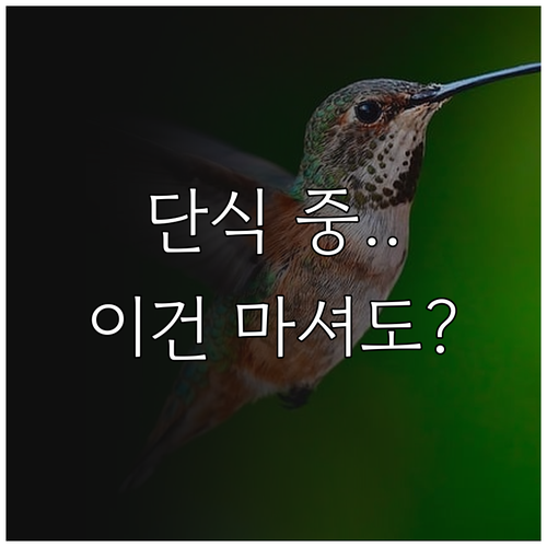 간헐적 단식 아침 공복에 마셔도 되는..