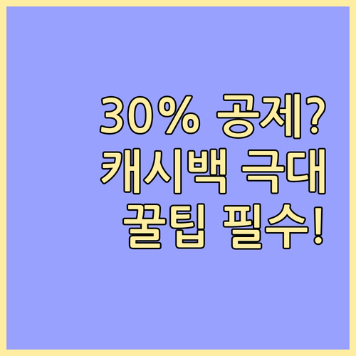 체크카드 30% 소득공제와 캐시백 극..
