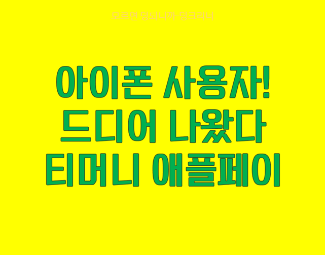 티머니 애플페이