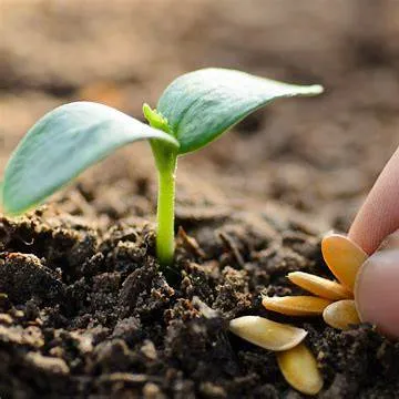 중소기업 퇴직연금 푸른씨앗