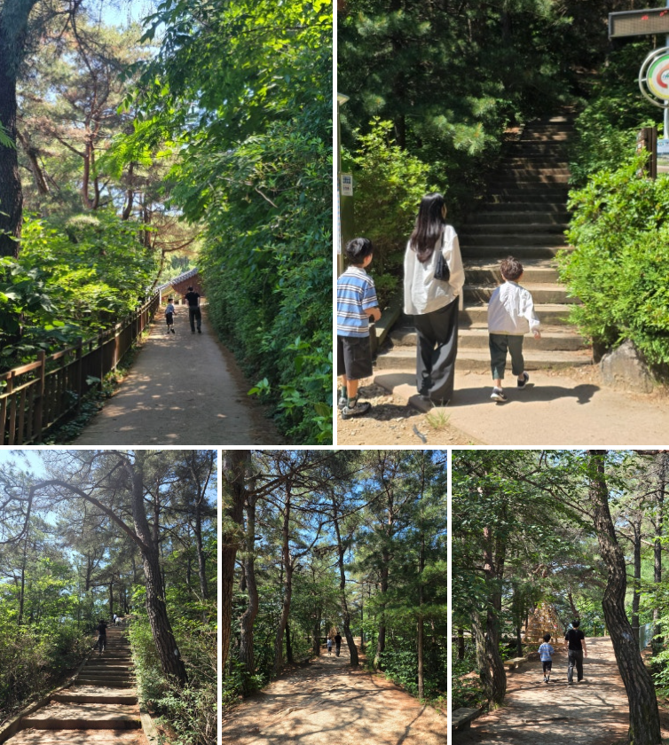 [6월 예천] 회룡포전망대와 뿅뿅다리 ❘ 육지 속 섬마을, 6살 아이와 함께한 가족 나들이