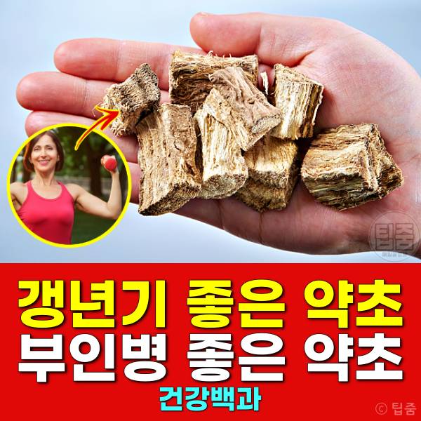 갱년기에 좋은 약초 부인병에 좋은 약초
