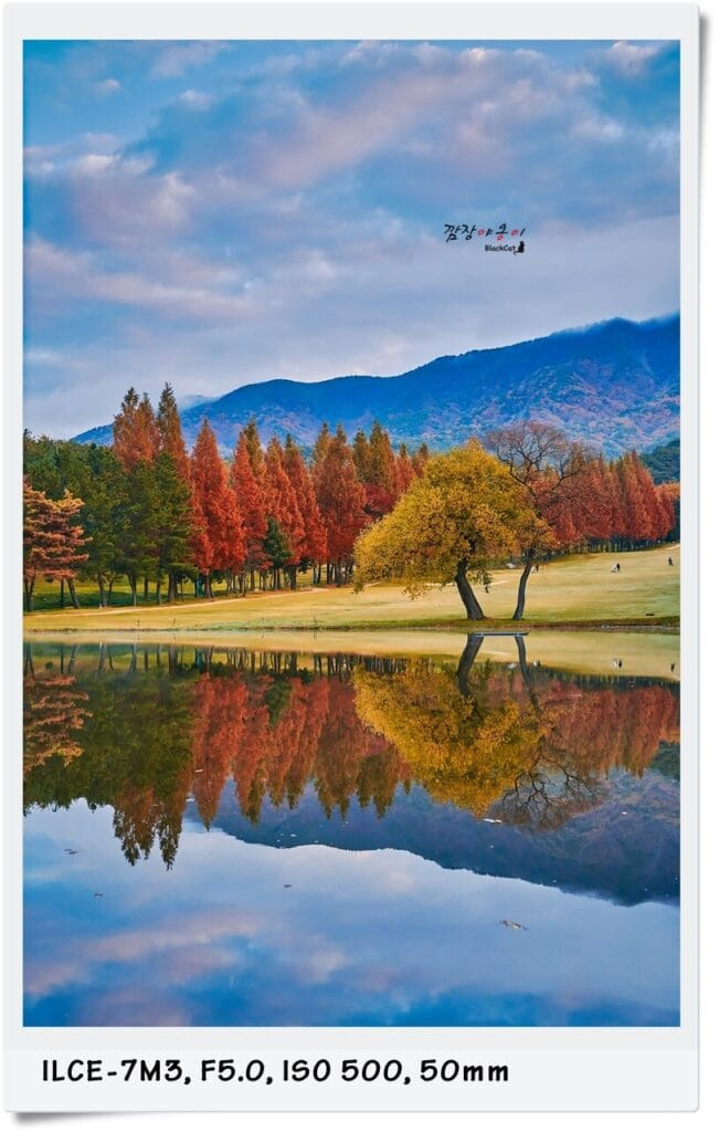 경주 토함지 가을 아침 단풍 반영 풍경