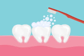 잇몸에서 피가 나는 이유