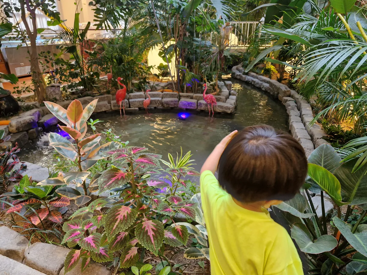 연못에서-놀고있는-아이