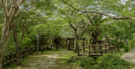 제주 렌트카 주의사항