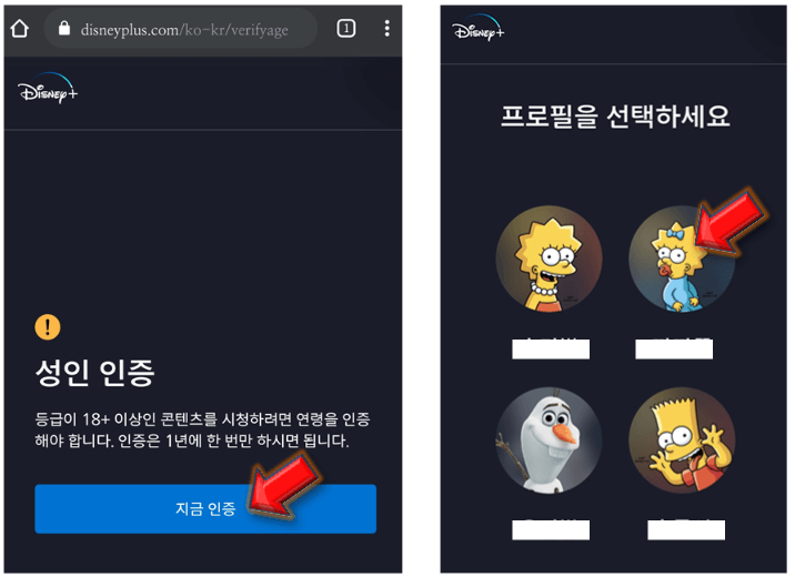 성인인증-프로필-선택