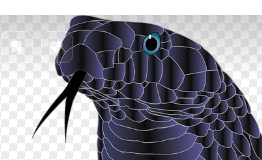 뱀이 다른 뱀과 싸우는 꿈해몽 