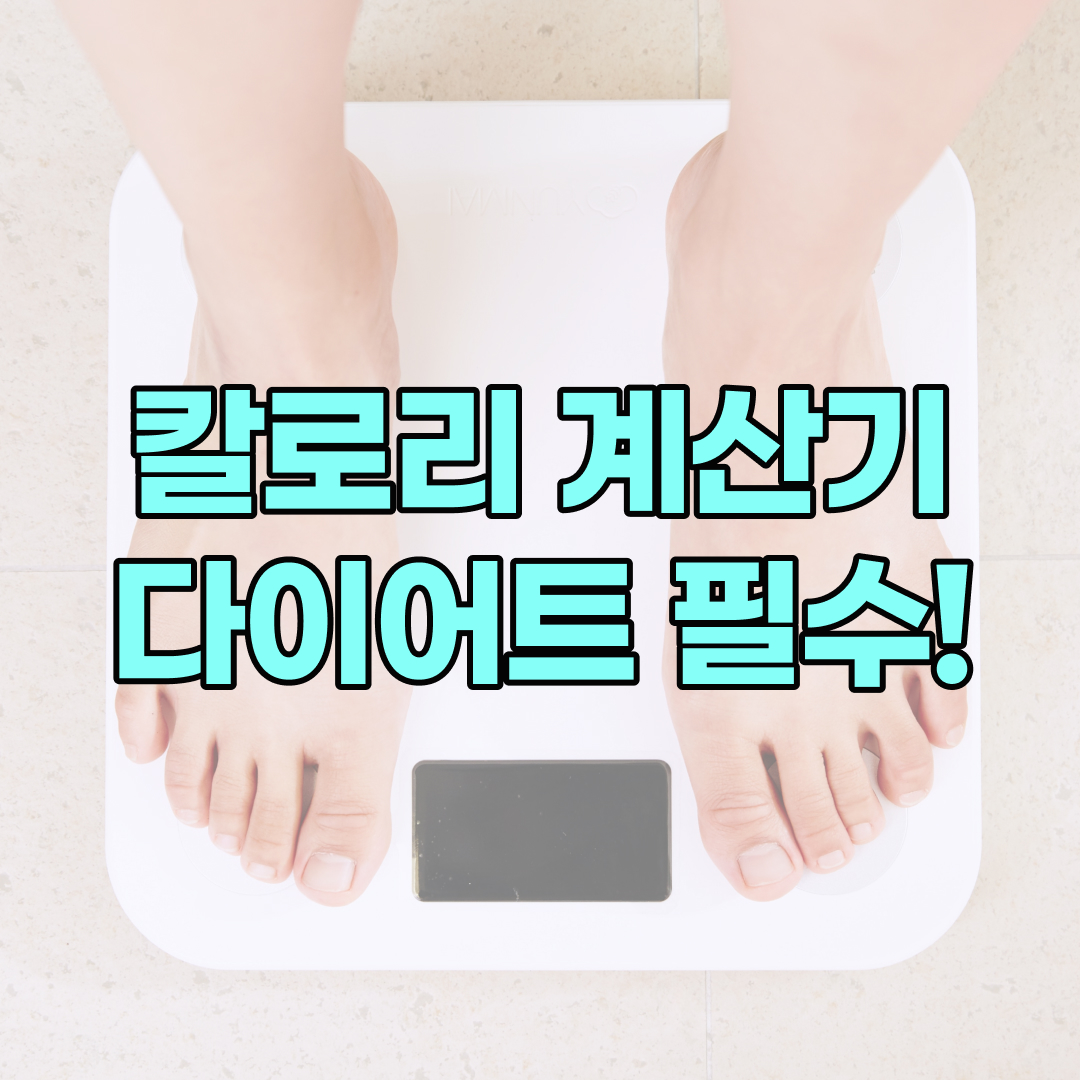 칼로리 계산기