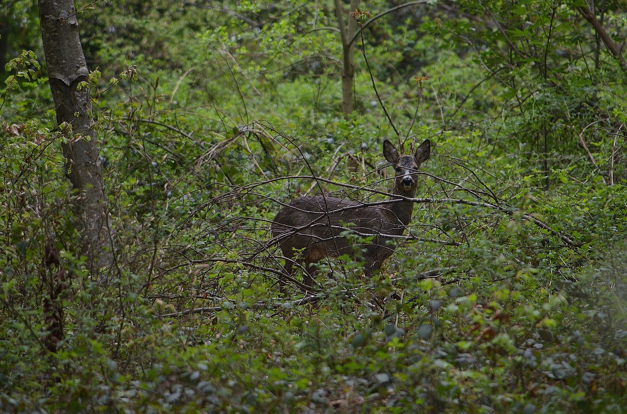 국내 숨겨진 여행지! SNS에서 핫한 비밀 명소 10곳