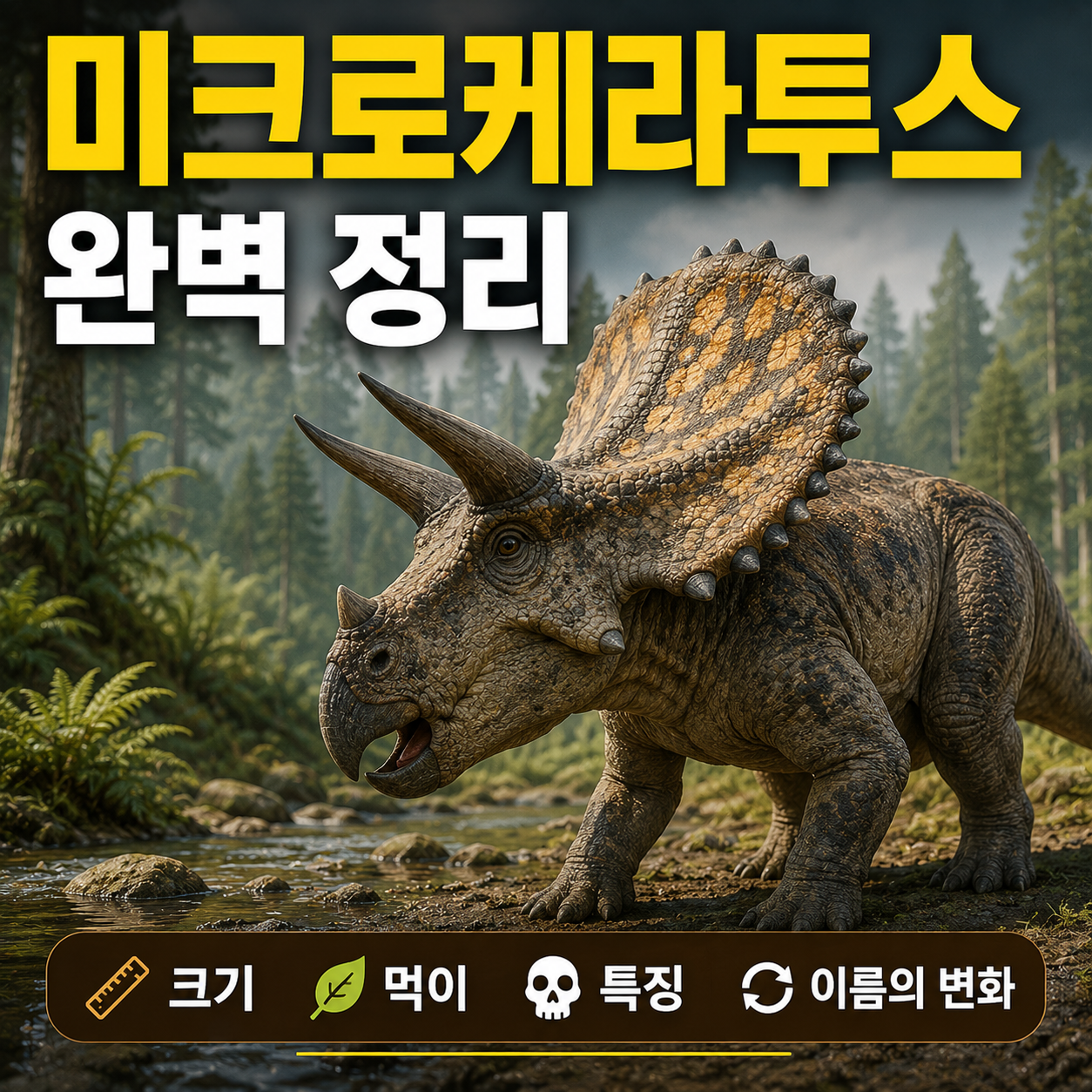 미크로케라투스