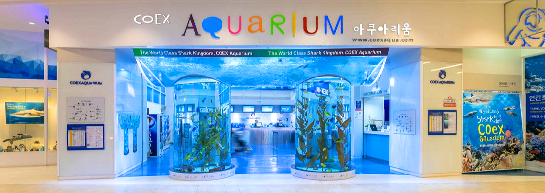 코엑스 아쿠아리움