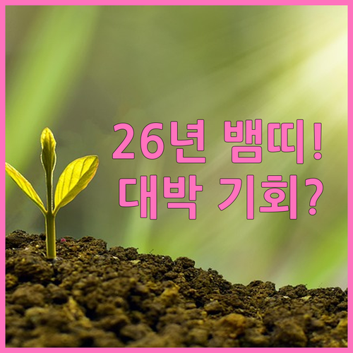 1989년생 뱀띠 2026년 운세 요..