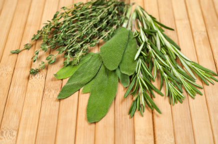 명이나물 장아찌 황금 레시피 및 재배법 (+ 모종 판매 수확시기 먹는 법)