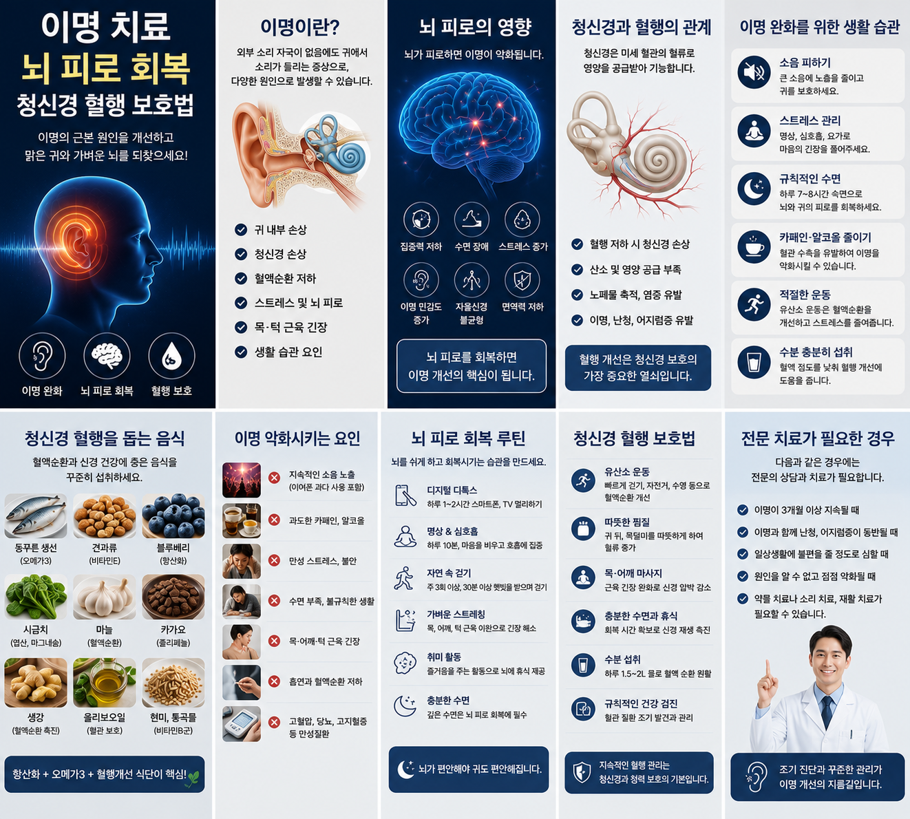 이명 치료 뇌 피로 회복 청신경 혈행 보호법